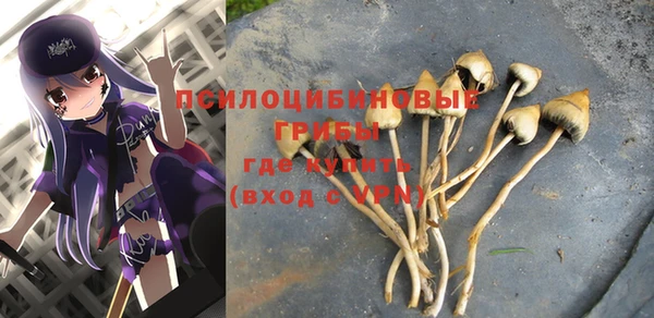 тгк Магадан
